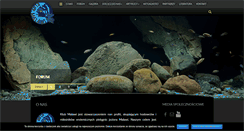 Desktop Screenshot of klub-malawi.pl